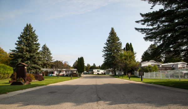 Lakeview Village Aspire Communities Street Lined with Trees