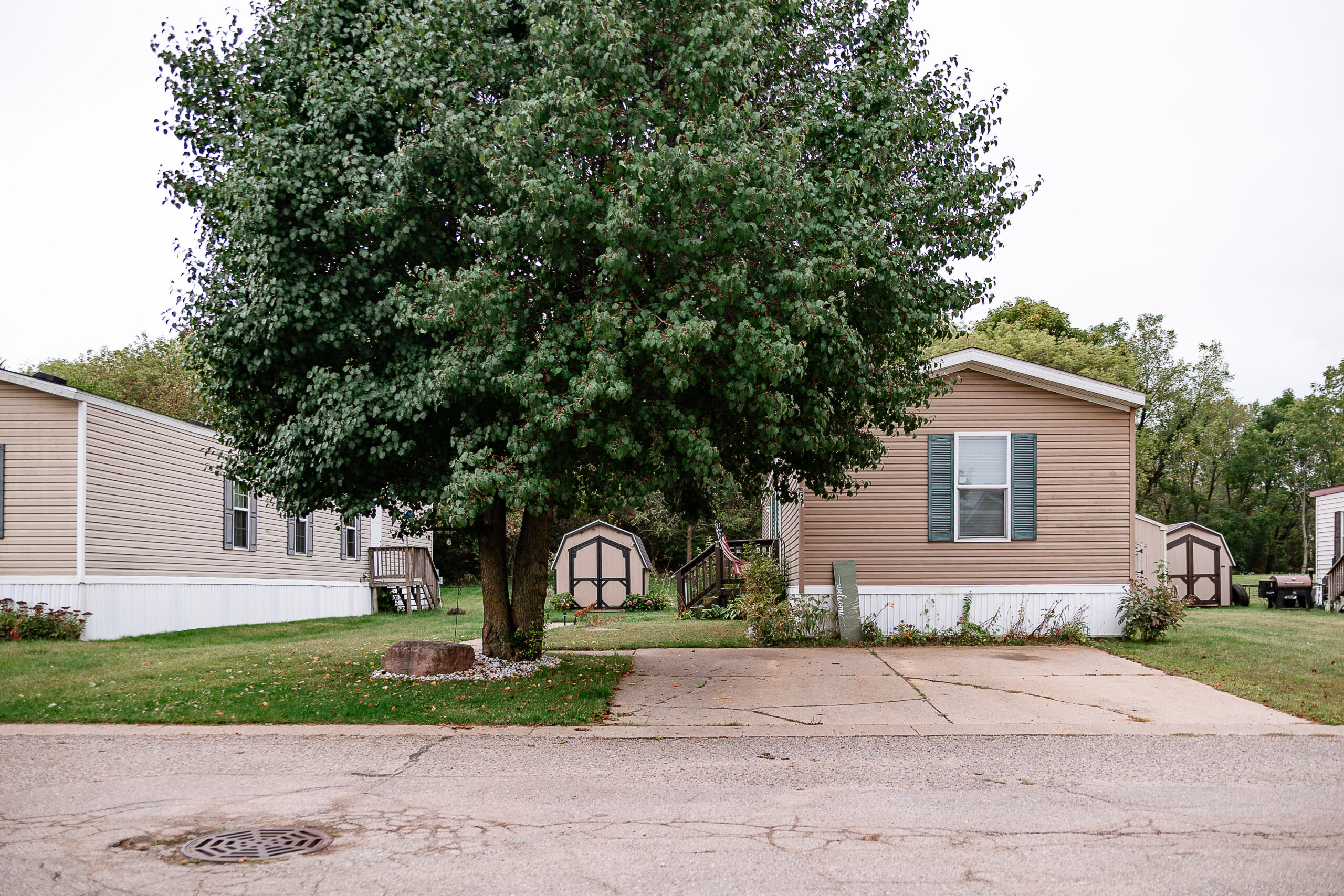 A tan Riverwood manufactured home with a large tree and driveway in front, adjacent to other similar homes, with two small sheds in the background.
