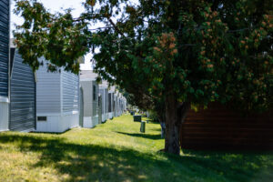 Row of mobile homes at Lakeview Village with a grassy strip and a tree in the foreground on a sunny day.