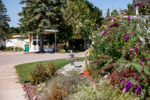A residential street in Lakeview Village features a garden of flowers and plants in the foreground, a small fountain, and houses with trees in the background on a sunny day.