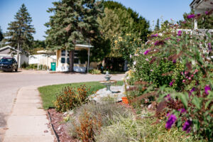 A residential street in Lakeview Village with a garden bed featuring flowers and shrubs in the foreground, and houses, trees, and a parked car in the background on a sunny day.