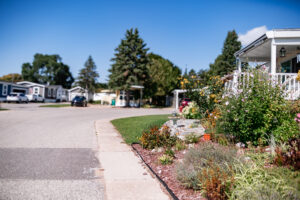 A suburban neighborhood street in Lakeview Village with manicured lawns, flower beds, and several single-story homes under a clear blue sky.